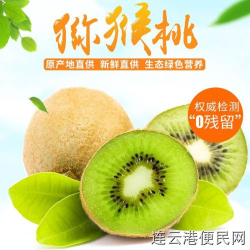 自家猕猴桃果园种植 京东快递包邮到家