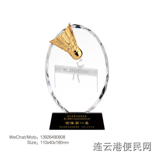 羽毛球奖杯定制水晶创意体育运动会比赛纪念品学校学生团体赛冠军