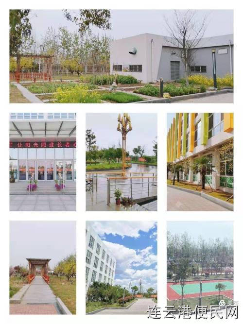 天下任你闯，父母九如养