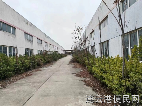 连云港海州区厂房招商出租